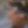 Rostro 4