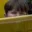Rostro 6