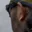Rostro 3