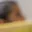 Rostro 2