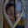 Rostro 4