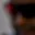 Rostro 2