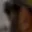 Rostro 2
