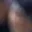 Rostro 4