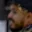 Rostro 2