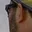 Rostro 5
