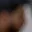 Rostro 4