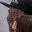 Rostro 4