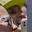 Rostro 5