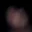 Rostro 7