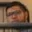 Rostro 2