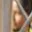 Rostro 7