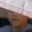 Rostro 14