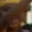 Rostro 10