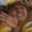 Rostro 2