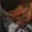 Rostro 9