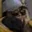 Rostro 7