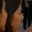 Rostro 1