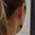 Rostro 8