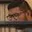 Rostro 4