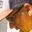 Rostro 7