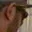 Rostro 2