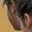 Rostro 3
