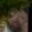 Rostro 9