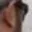 Rostro 2