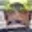 Rostro 5