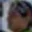 Rostro 5