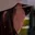 Rostro 2