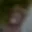 Rostro 3