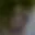 Rostro 3