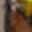 Rostro 2