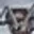 Rostro 2