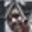 Rostro 5