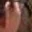 Rostro 1