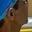 Rostro 3
