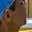 Rostro 3