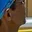 Rostro 3