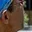 Rostro 3