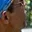 Rostro 3
