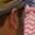 Rostro 4