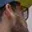 Rostro 3