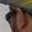 Rostro 4