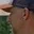 Rostro 2