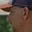 Rostro 3