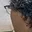 Rostro 6