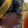 Rostro 8